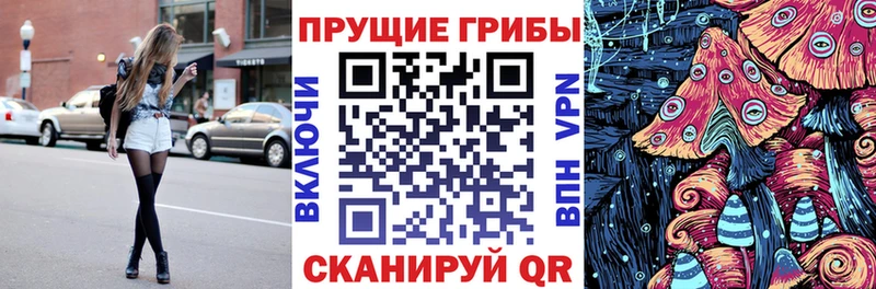 где продают наркотики  Болхов  площадка клад  Псилоцибиновые грибы прущие грибы 